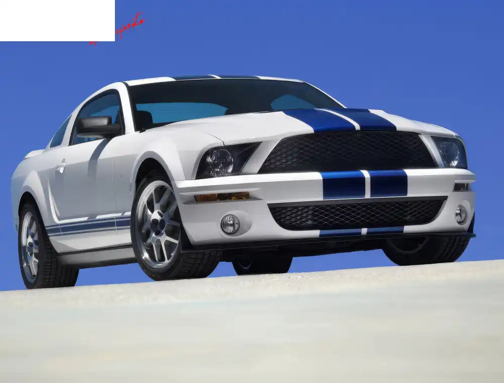 2007-2009 Ford Mustang GT500 OE Style Front Bumper Conversion Kit PP