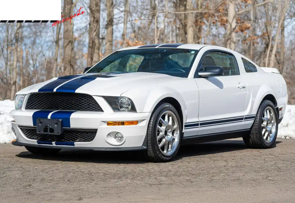 2007-2009 Ford Mustang GT500 OE Style Front Bumper Head Lights Lamp