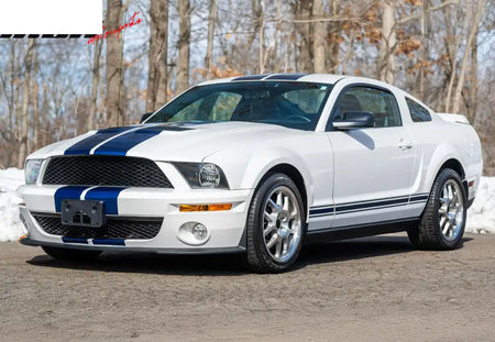 2007-2009 Ford Mustang GT500 OE Style Front Bumper Head Lights Lamp